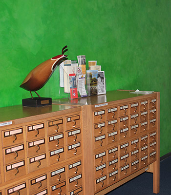 Browse the diverse collections of books and more in the Arizona Room.